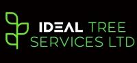 Ideal Tree Services image 1
